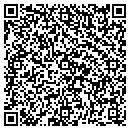 QR code with Pro Source One contacts