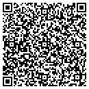 QR code with PPG Auto Glass contacts
