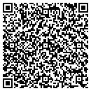 QR code with Public Storage contacts