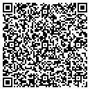 QR code with Pp &G Consulting Inc contacts