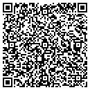 QR code with Precision Shapes Inc contacts