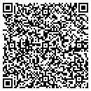 QR code with Public Access Realty contacts