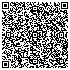 QR code with Public Records Searches contacts