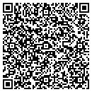QR code with Pro File America contacts