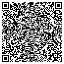 QR code with Cognisa Security contacts