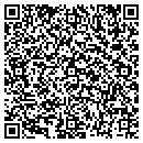 QR code with Cyber Ideation contacts