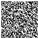 QR code with Public Storage contacts