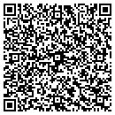 QR code with Professional Touch II contacts