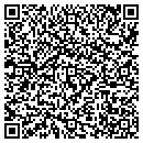 QR code with Carters TV Service contacts