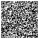 QR code with Carter Painting contacts