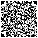 QR code with Princeton Review contacts