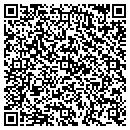 QR code with Public Storage contacts