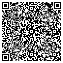 QR code with Pro 1 Sports Wear Inc contacts