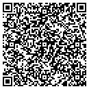 QR code with Pulseworks contacts