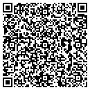 QR code with Public Works contacts