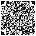 QR code with AMS contacts
