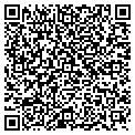 QR code with Mighty contacts