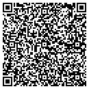 QR code with Carrier Access Corp contacts