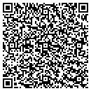 QR code with Carter Custom Carpets contacts