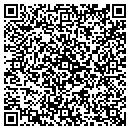 QR code with Premier Projects contacts