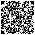 QR code with Ollies contacts