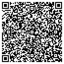 QR code with Profiling Solutions contacts