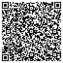 QR code with Chesney Auto Sales contacts
