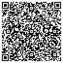 QR code with Professional Sevices contacts