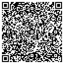 QR code with Carpets Etc Inc contacts