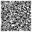 QR code with Cochran Surveyors contacts