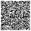 QR code with Primary Solutions LLC contacts
