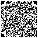 QR code with Publix contacts