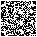QR code with Pro Set Systems contacts