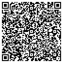 QR code with Publix contacts