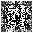 QR code with Protech Security Inc contacts