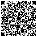 QR code with Clear Skies Tree Inc contacts