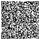 QR code with Pyramid Multi Media contacts