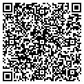 QR code with Moores contacts