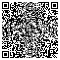 QR code with C Plus contacts