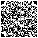 QR code with Prizm Electronics contacts