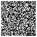 QR code with Carrier Access Corp contacts