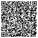 QR code with N Group contacts