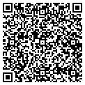 QR code with Shell contacts