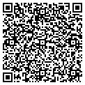 QR code with Allen contacts