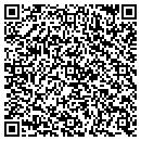 QR code with Public Storage contacts