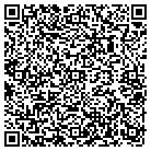 QR code with Ballard Painting James contacts