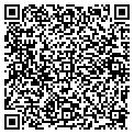 QR code with Logia contacts