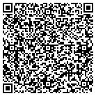 QR code with Pumping Systems Inc contacts