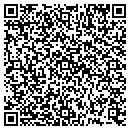 QR code with Public Storage contacts