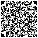 QR code with Carlin Holding Inc contacts